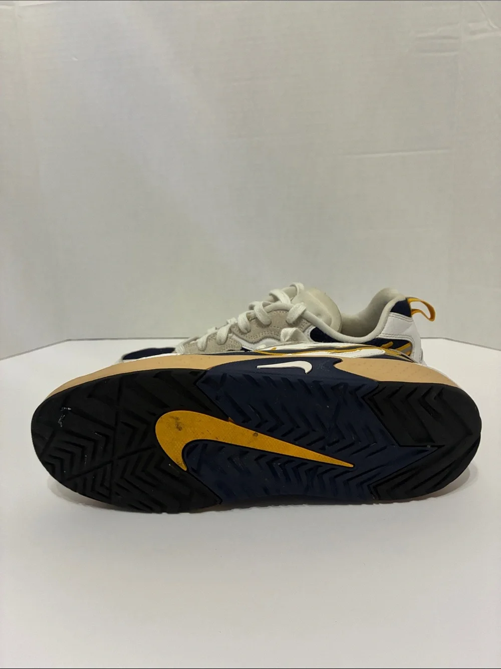 Women’s Nike skater sneakers